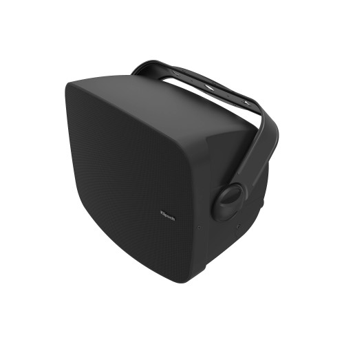 Klipsch All Weather PSM-650-T Black